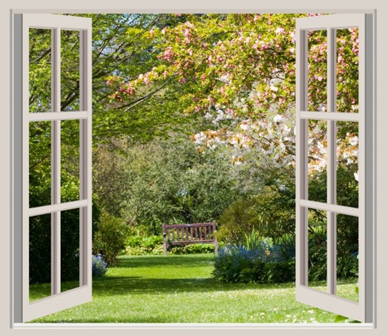 spring-garden-window-frame-view