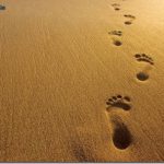 footprints-in-the-sand-163312.jpg