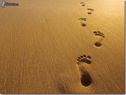 footprints in the sand 163312