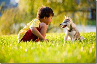 young-boy-with-puppy