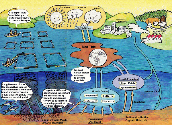 Redtide_fig_English